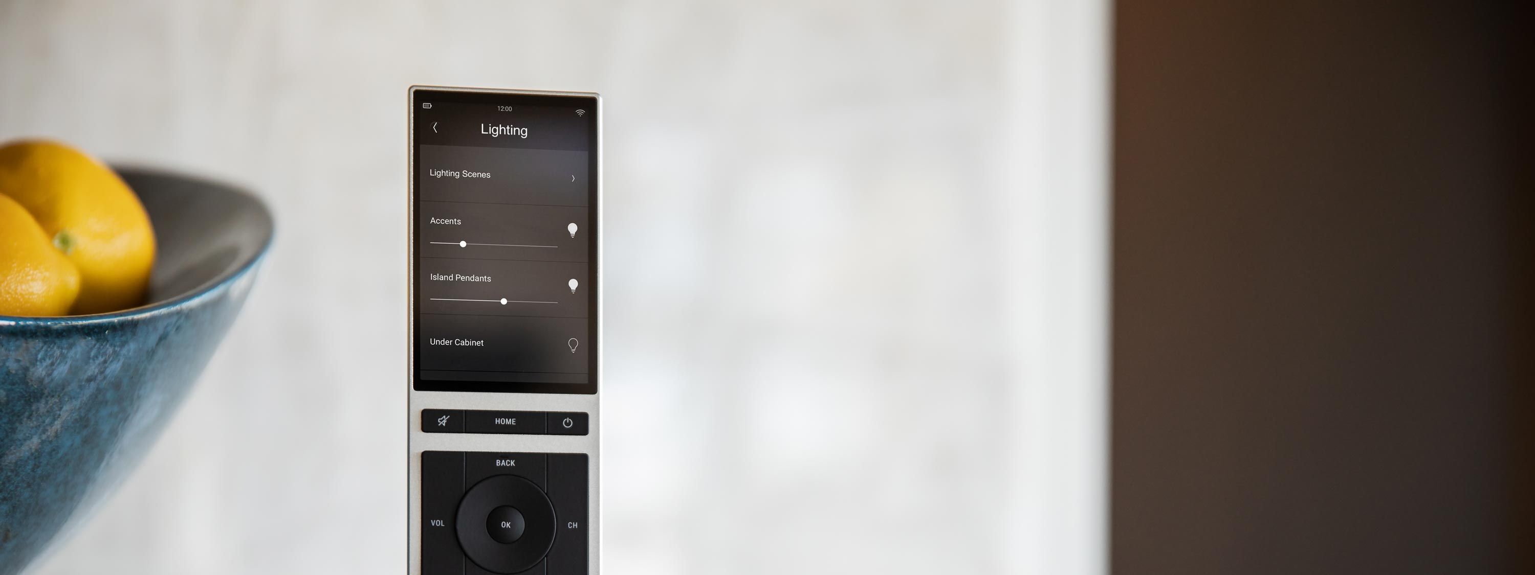 Control4 Neeo Remote on white background